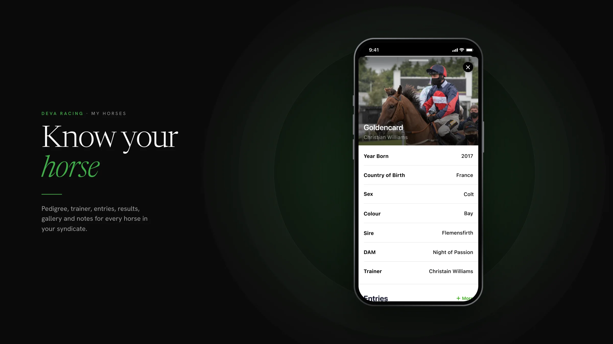 Horse profile: Goldencard
